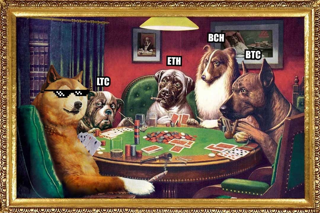 doge casino