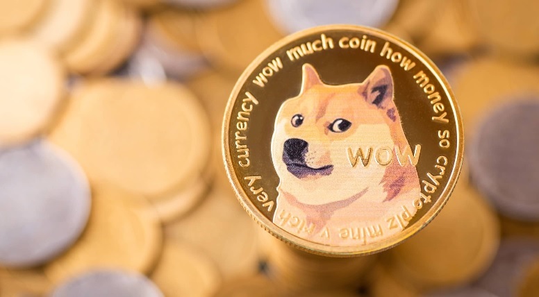 dogecoin casino